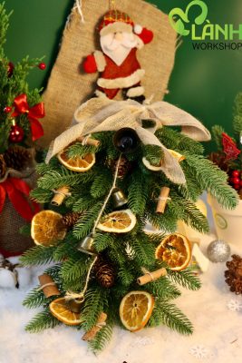 trang tri chum la thong giang sinh