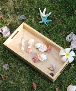 Trang Chủ Workshop Trang Trí Kẹp Vỏ Sò