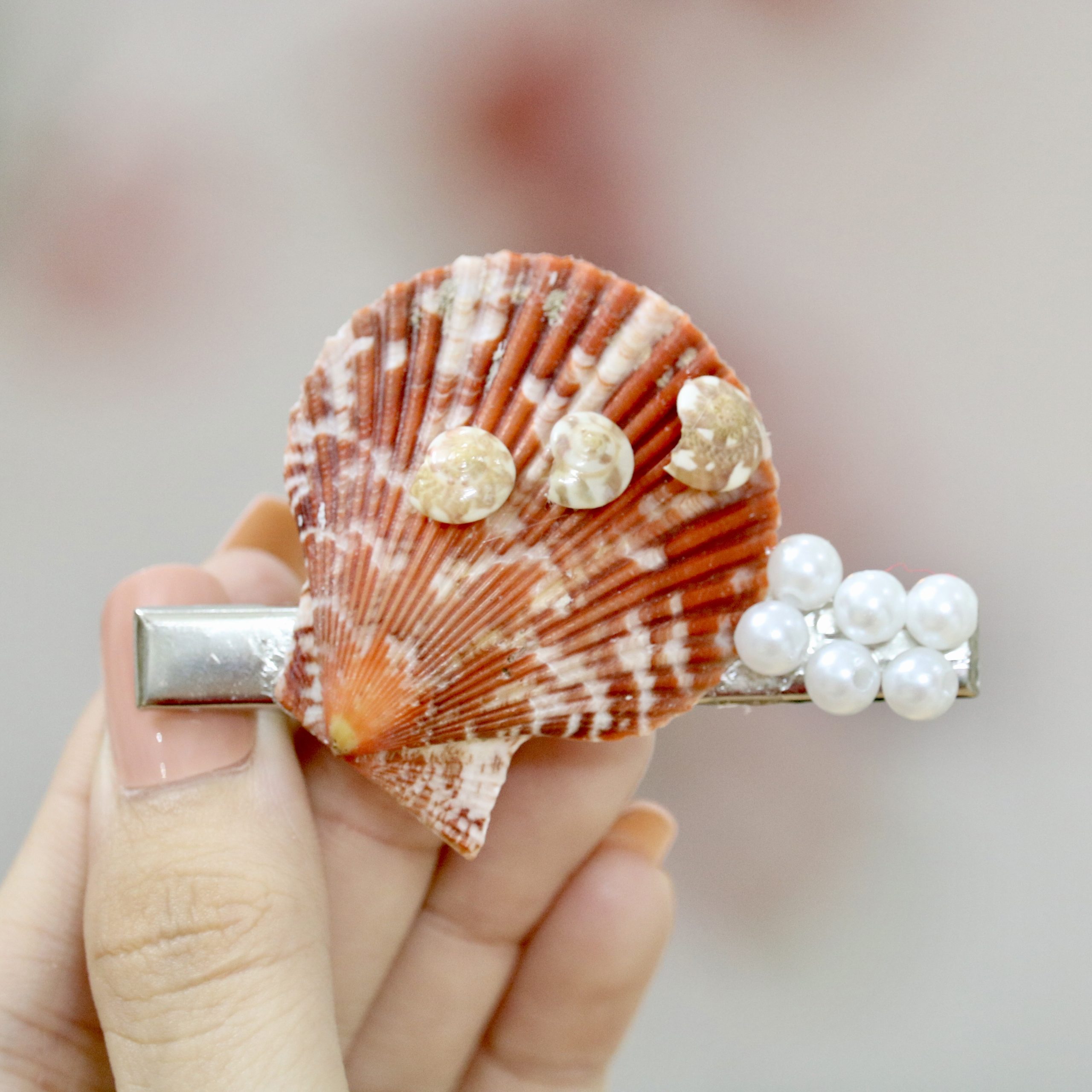 ốc sò trang trí